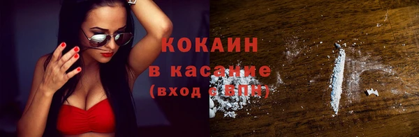 молекула духа Саяногорск