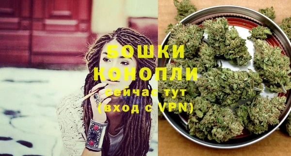 PSILOCYBIN Алексеевка