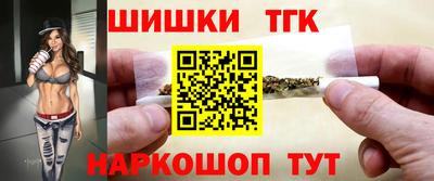 спиды Кингисепп