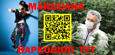 спиды Кингисепп