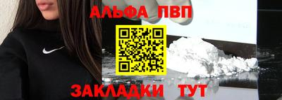 спиды Кингисепп