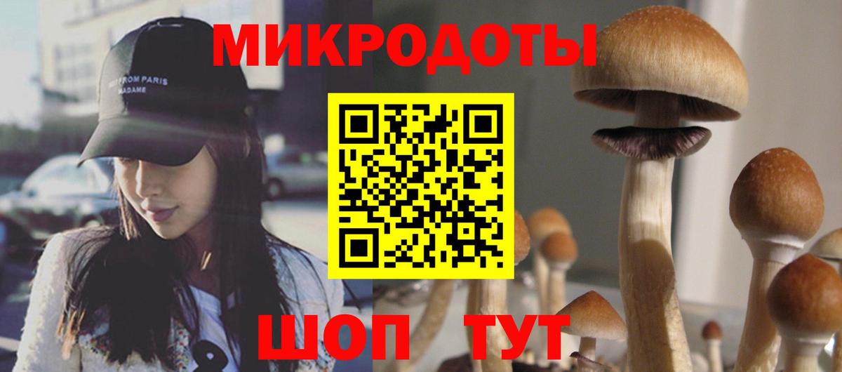 закладка  Вход с VPN  Лысьва  Галлюциногенные грибы MAGIC MUSHROOMS  Псилоцибиновые грибы Psilocybe 